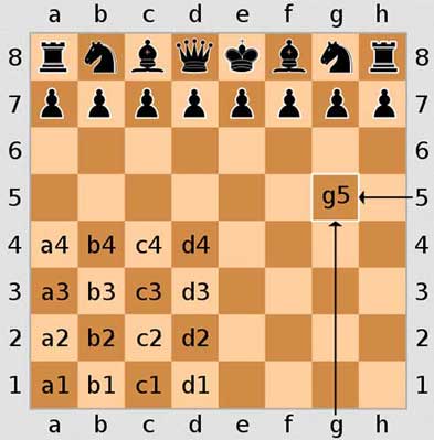 chess-notation