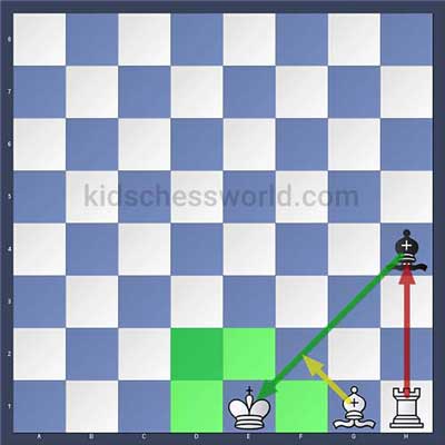 king-chess-movement-check